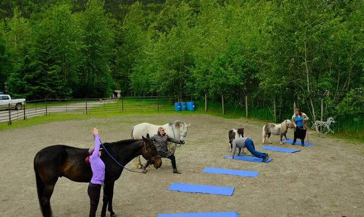 Yoga with Horses
