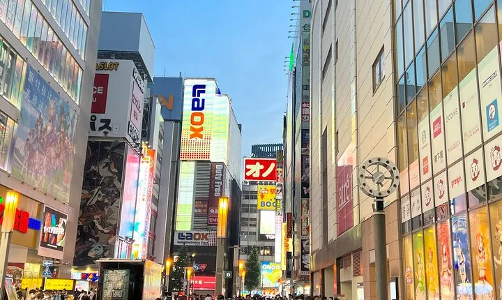 Akihabara Tour with Anime and Video Games Otaku Licensed Guide
