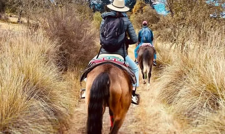 Horseback in the mountains & Food in our ranch
