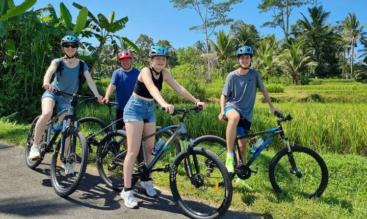 Ubud: Downhill Cycling with Volcano, Rice Terraces and Meal