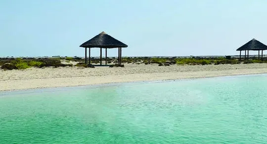 3-hour Dhow cruise to al Safliya Island