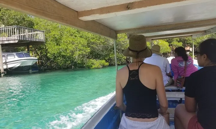 Mangrove Tunnel, Garifuna village,food tasting,wildlife encounter