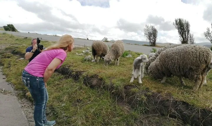 4-Day Adventure in Cotopaxi, Quilotoa, Baños & Devil's Nose Train