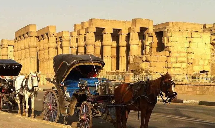 Private Luxor City tour by Horse Carriage