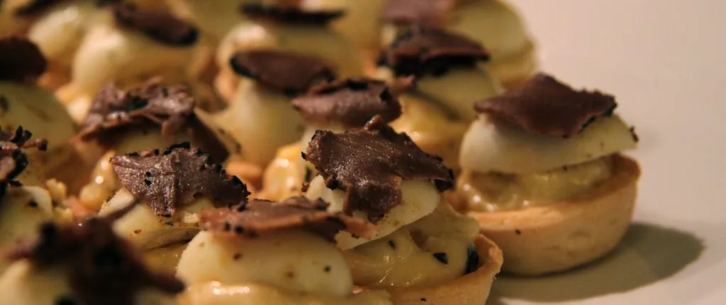 Truffle hunting tour from Florence