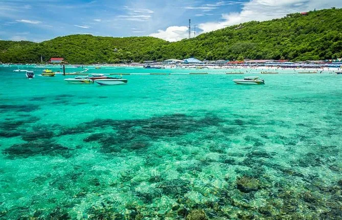 PATTAYA: Coral Island by Speed Boat+Snorkeling+ Lunch+Optional Choice