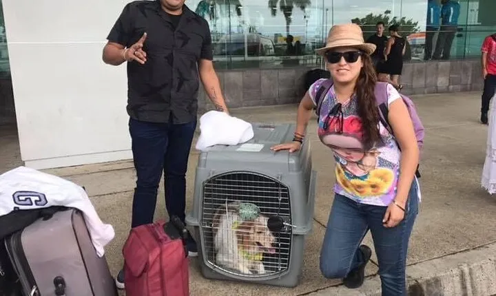PET FRIENDLY Private Transfer Cancun - Playa del Carmen