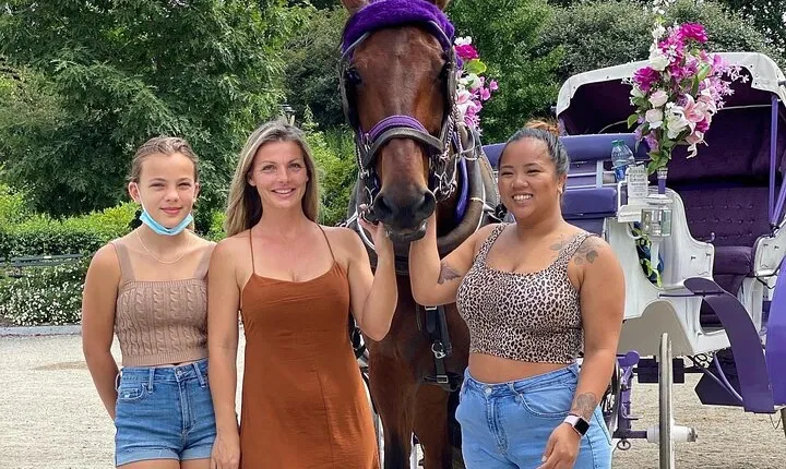 OFFICIAL NYC Central Park Horse Carriage Rides 
