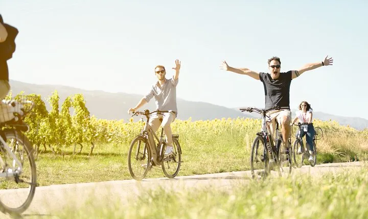 Geneva Highlights Tour by Bike - 2h