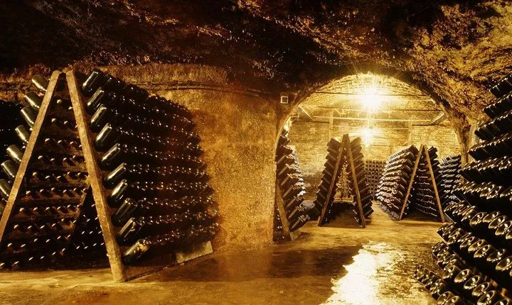 Cavas Freixenet Wine Tour from Mexico City