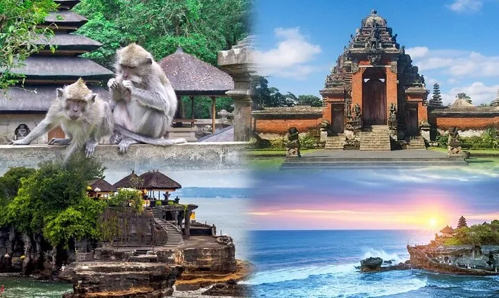 Half Day Tanah Lot sunset tour