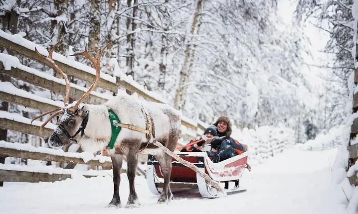 Snowmobile Safari and Reindeer Farm Visit