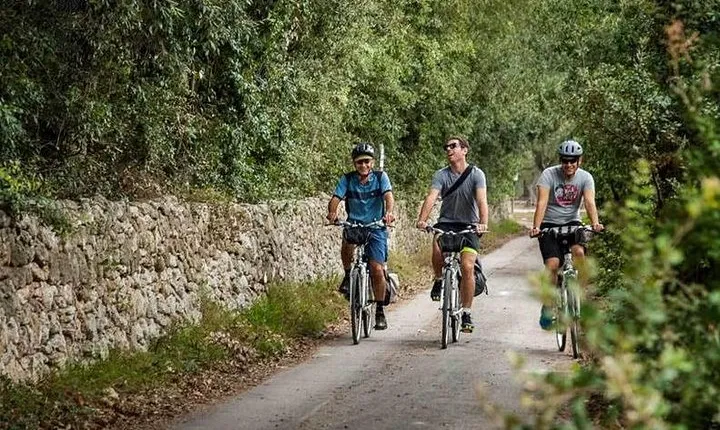 Lecce to Cesine Protected Natural Reserve Full-Day Bike Tour