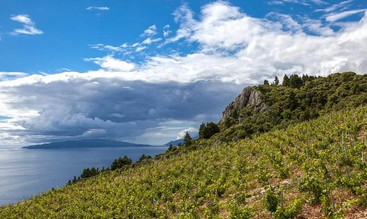 Wine Lover's Tour From Dubrovnik