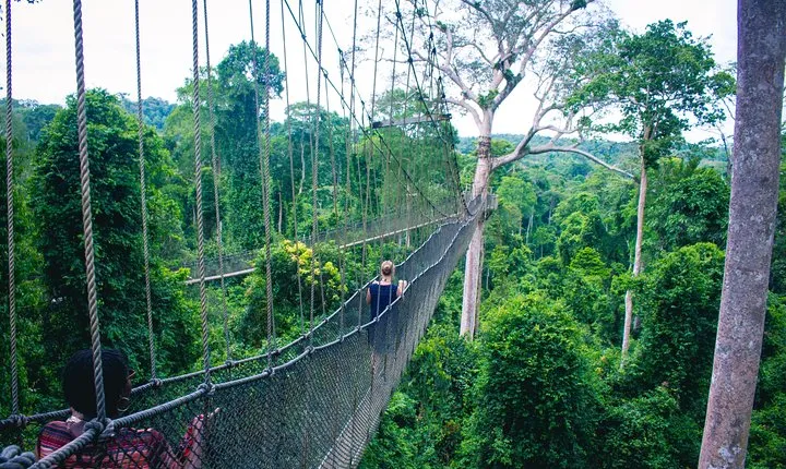Chauffeur: Kuala Lumpur to Taman Negara Transfer [Car]