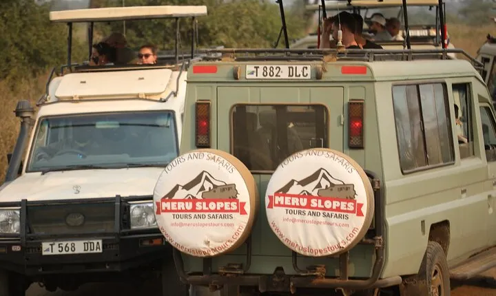 9 Day Tanzania Northern Circuit Mid Range Safari