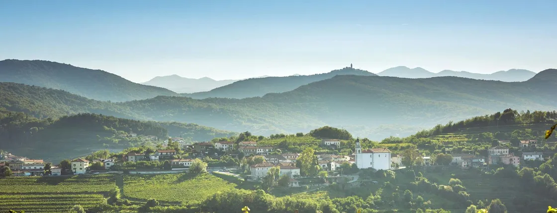 Taste of Slovenia Tour