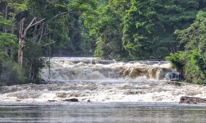 Amazon Arapiuns River Aruã Waterfall Tour