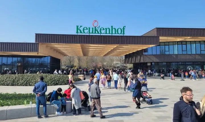 Keukenhof Tulip Gardens Sightseeing Tour from Amsterdam (4 HOURS)