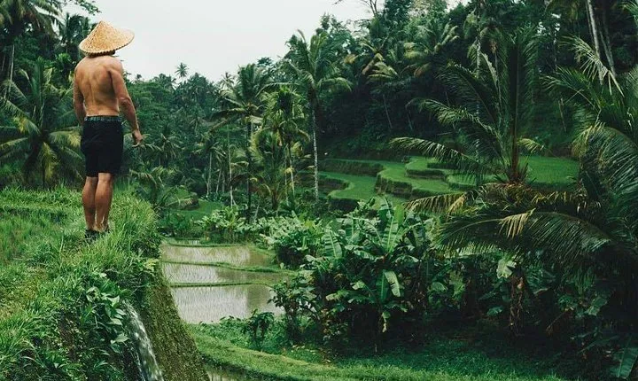 Ubud Tour - Best of Ubud - All Inclusive
