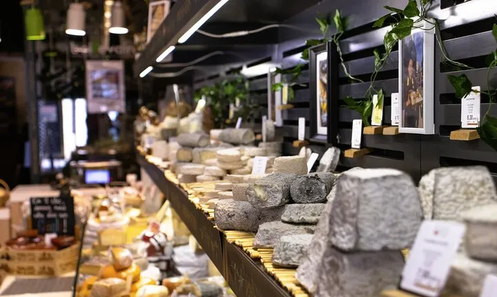 Full day Bordeaux Historic Gourmet Walking and Médoc Tour