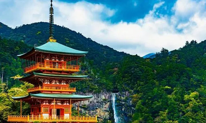 Kumano Kodo Private Guided Tour from Kumano Hongu Taisha