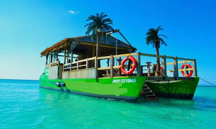 Private Party Cruise in Negril from Montego Bay