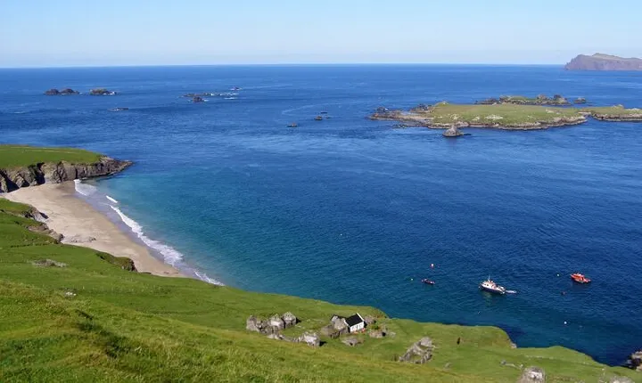 Dolphin & Whale Watching (4hrs) + Blasket Island Landing (3hrs)