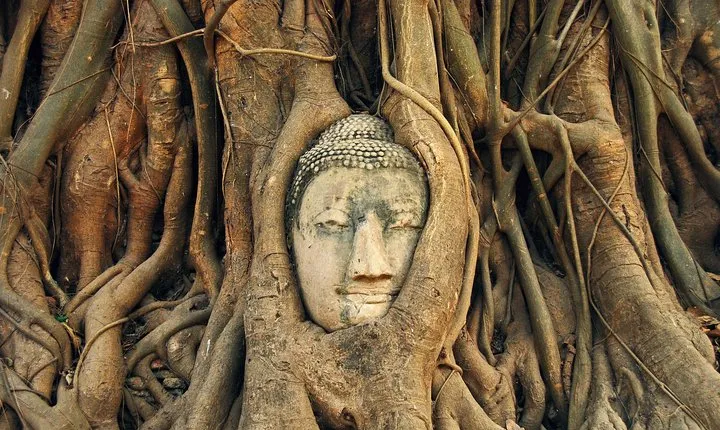 Ayutthaya Temples Tour from Bangkok with Grand Pearl River Cruise