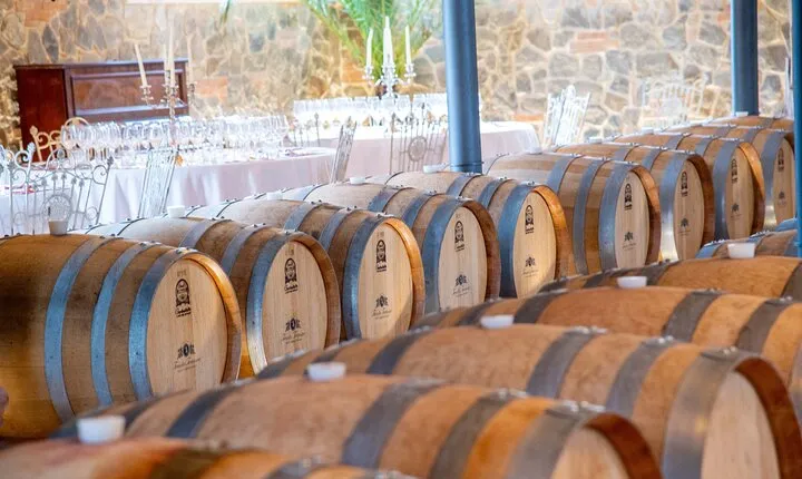 Discover San Gimignano from Livorno
