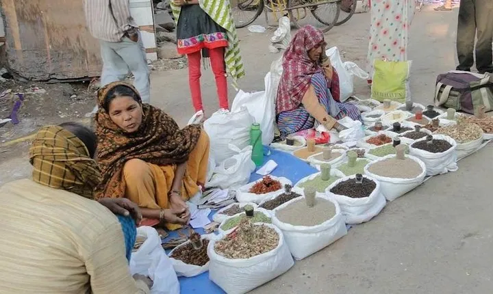 Private Old Delhi tour by tourism ministry approved company