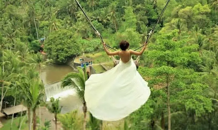 Ubud: Monkey Forest, Jungle Swing, Rice Terrace, and Water Temple