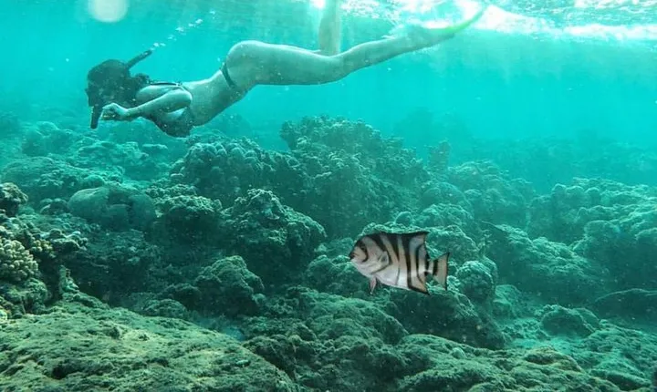 Amazing Bali Snorkeling At Blue Lagoon All Inclusive