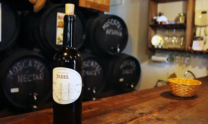 Sun and Wine Route - Small group, wine tasting and lunch included