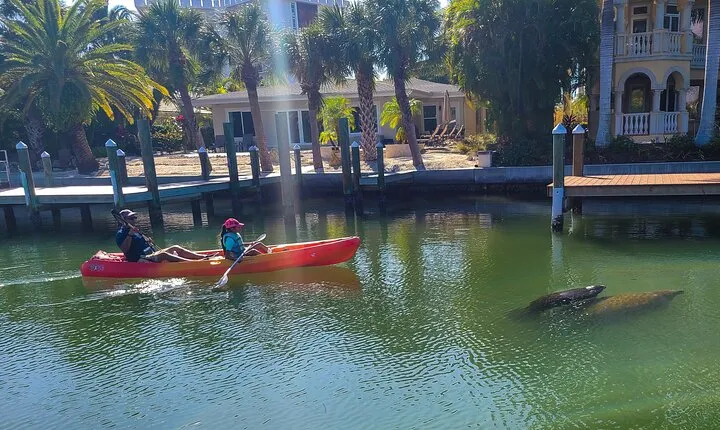 Siesta Key Kayak Tour 