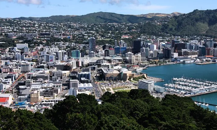 Private custom tour with a local guide Wellington