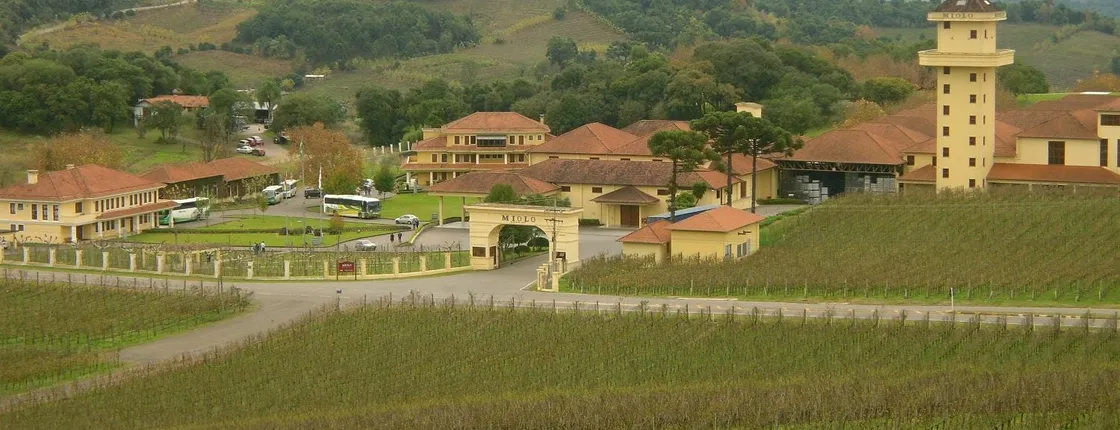 Gran Reserva wine tour with tasting