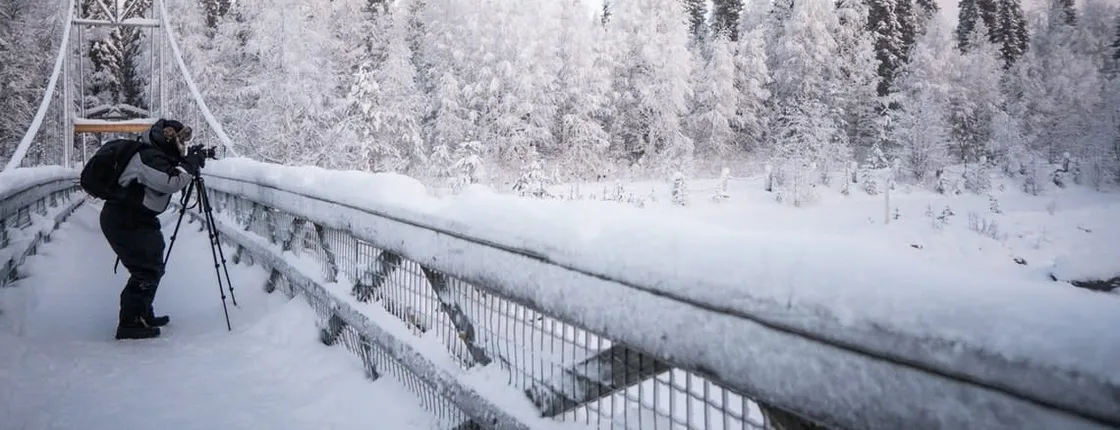 Explore the arctic woodlands in a photography tour