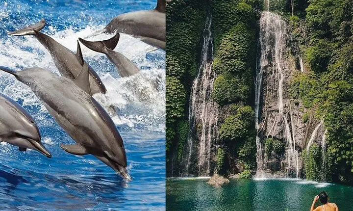 Bali Swim with Dolphin & Watching Sunrise, Gitgit Waterfall