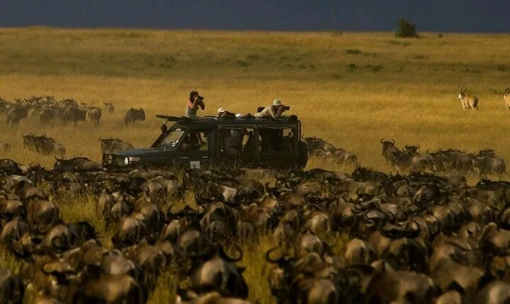 Spectacular Serengeti Migration Safari