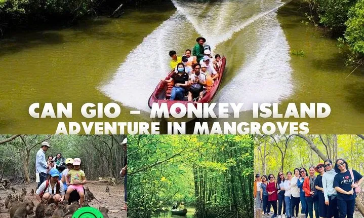 Cần Giờ Eco-Tour with Monkeys, Crocs & War History