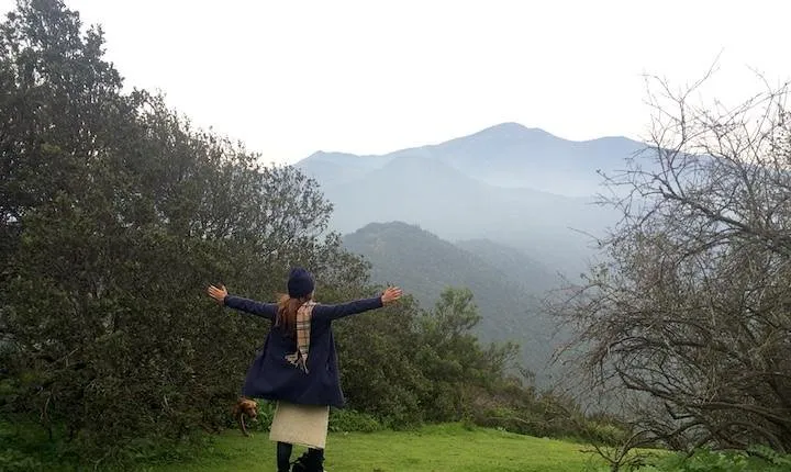 Private Wine Trekking Tour Including Chilean Country Grill