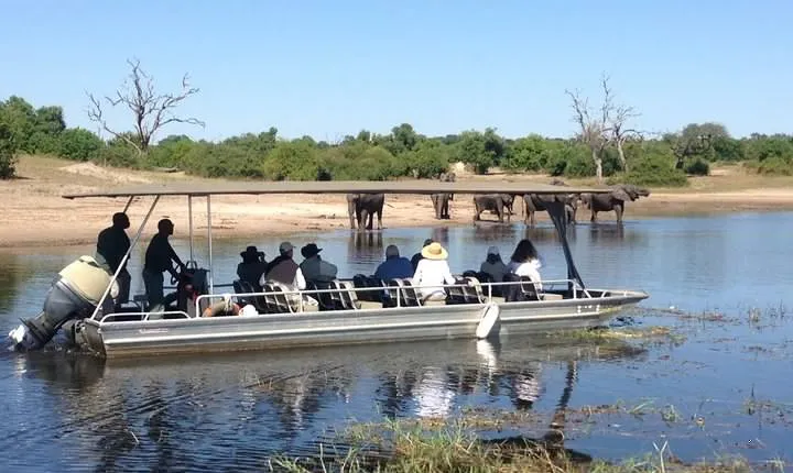 Chobe Full Day Trip