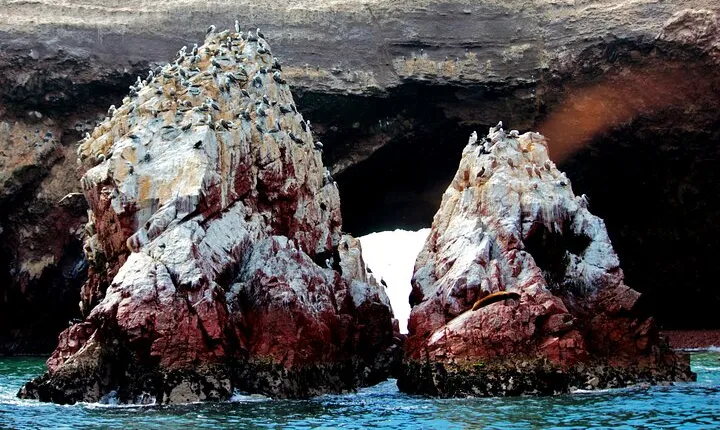 Day tour Mini - Galapago Island with City tour Lima