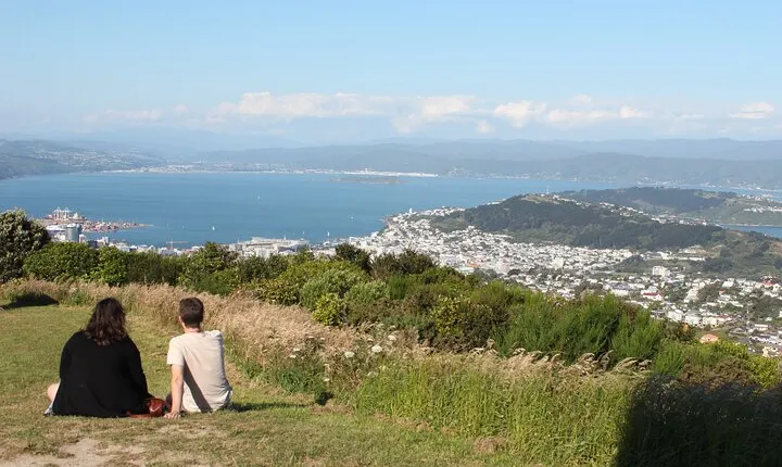 Wellington Scenic Full Day Tour