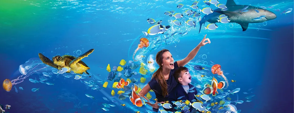 SEA LIFE Istanbul entrance ticket