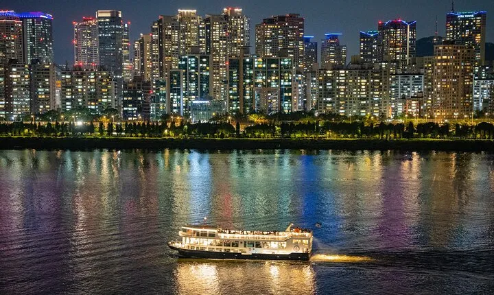Seoul: Han River Guided Night Cruise and Hangang Park Picnic