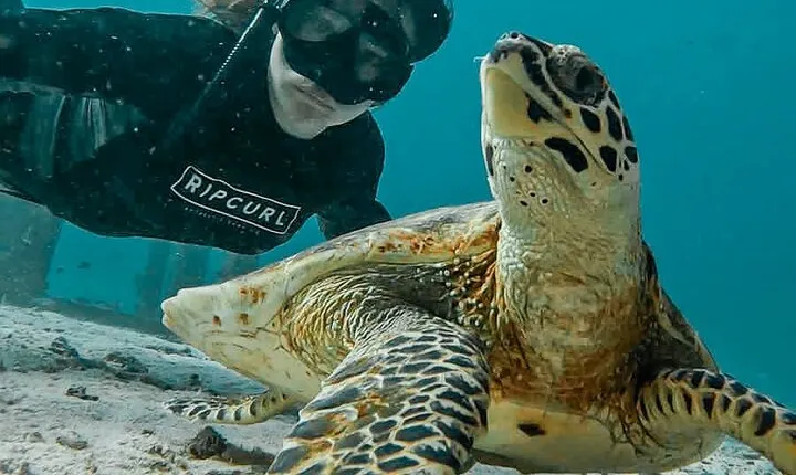 Similan Islands Private Tour