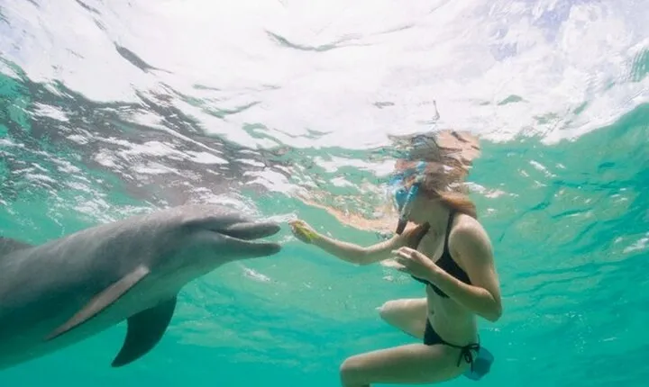 Dolphin House Cruise with water sports and Lunch in Hurghada