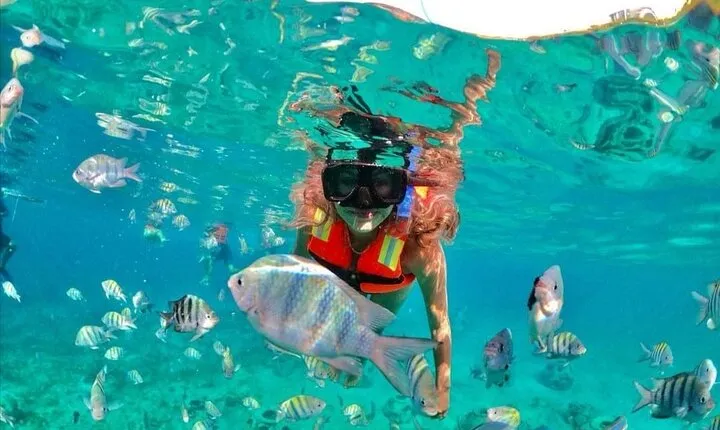 Snorkeling tour Express in Cancun with Certified Guide